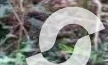 Imagem 2: Amplo terreno nessa linda Região!