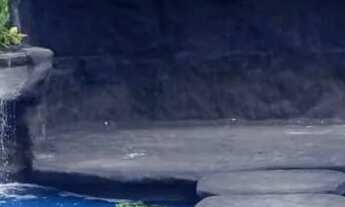 Imagem 3: Linda Chácara estrutura completa!!!15 minutos centro da cidade!!!