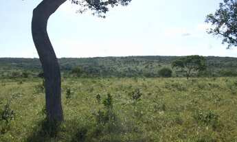 Imagem 3: Fazenda 356,85 ha - Brasilândia de Minas - MG- Estuda Permuta