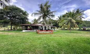 Imagem 4: Fazenda 56,6 alqueires ( 274 hectares) Jussara - GO