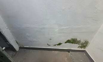 Imagem 6: Comodo comercial para locação no bairro Centro