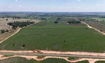 Imagem 7: Região de Jales/SP. São 66 alqueires com 55 alqueires em CANA!!!