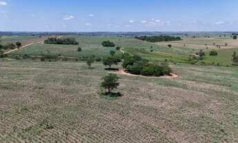 Imagem 3: Região de Jales/SP. São 66 alqueires com 55 alqueires em CANA!!!