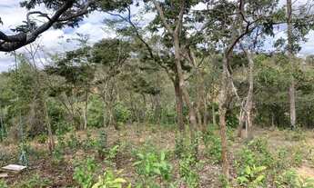 Imagem 5: Terreno rural 10ha, com barracão, com riacho no fundo, bela vista, Jaboticatubas
