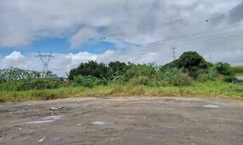 Imagem 4: Área comercial Terreno / lote com aluguel por R$8.100 /mês