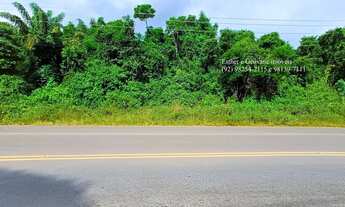 Imagem 2: Terreno Lote Rodovia Carlos Braga Iranduba KM 5 23 Hectares 230.000m² Financia