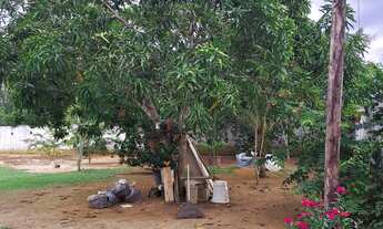 Imagem 5: Venda de chácara