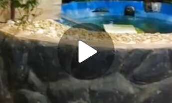 Imagem 2: Casa de 2 andar em São José da lapa