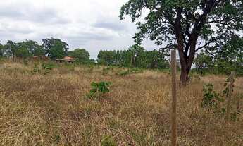 Imagem 3: Vendo uma chácara de 1000 MTS