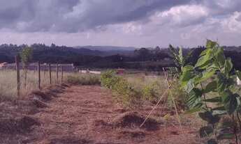 Imagem: Vendo lotes 500 m2