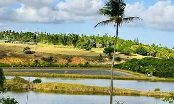 Imagem 3: Imóvel para venda com 107000 metros quadrados com 3 quartos