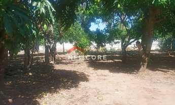 Imagem 6: Chácara em Rua Antônio Pereira de Almeida - Morada Nova - Uberlândia/MG