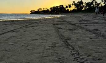 Imagem: Existe um Paraíso em Barra Grande!