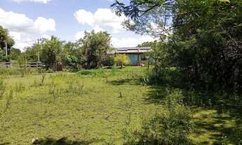 Imagem 5: Vende-se Terrenos