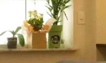 Imagem 2: Apartamento com 2 dormitórios para alugar, 69 m² por R$ 8.680,00/mês - Copacabana - Rio de