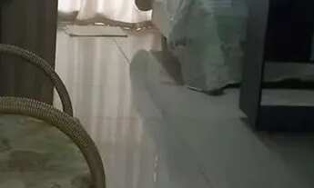 Imagem 7: Imóvel para aluguel com 35 metros quadrados com 1 quarto em Vila Gomes Cardim - São Paulo