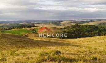 Imagem: Sítio em Interior - Interior - Zona Rural