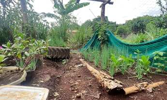 Imagem 4: Chácara Chácara com venda por R$100.000