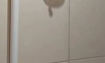 Imagem 6: Excelente Oportunidade de Aluguel