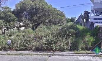 Imagem 4: FLORIANóPOLIS - Terreno Padrão - João Paulo