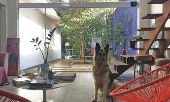 Imagem 2: Casa modernista alto padrão, 550m2 com jardim, 3 quartos, 2 vagas, piscina aquecida