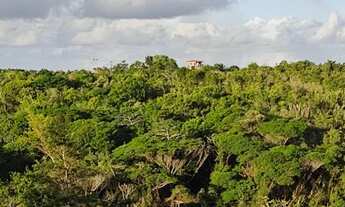 Imagem 7: Vendo Lote em Barra de Pojuca itacimirim