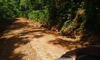 Imagem: Vende-se uma excelente fazenda de 74 Alqueires