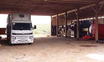 Imagem 2: FAZENDA TOP PRODUTIVA, DIRETO COM O PROPRIETÁRIO, ÓTIMO INVESTIMENTO!!!