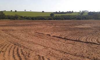 Imagem 2: Fazenda em coceição das alagoas 77 alqueirão 30.000.000.00 ) (jean