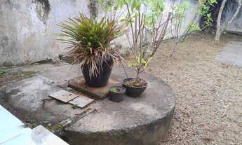 Imagem 2: Sobrado 4 quartos, 1 suíte, edícula com Bosque, 5 vagas - Planalto Paulista - Aeroporto