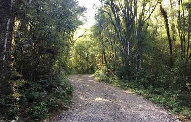 Imagem 2: Área no bairro Mato Queimado em Gramado!