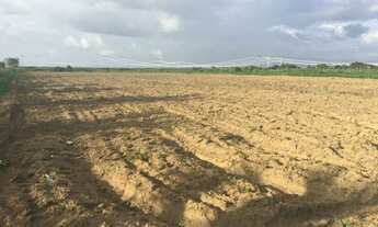 Imagem 2: IMÓVEL RURAL EM UBAJARA