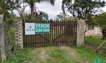 Imagem 3: FLORIANóPOLIS - Sítio - Ratones