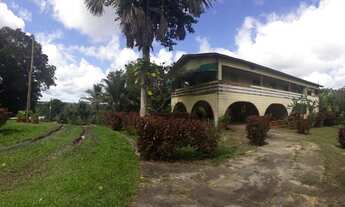 Imagem 3: VENDO SÍTIO NA BR174- KM16