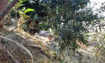 Imagem 5: BELO HORIZONTE - Casa Padrão - Goiânia