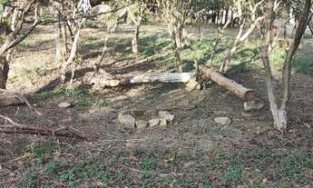 Imagem 6: Chácaras Sul de Minas, em Maria da Fé