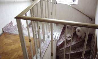 Imagem 5: Casa em São Paulo - Vila Mariana