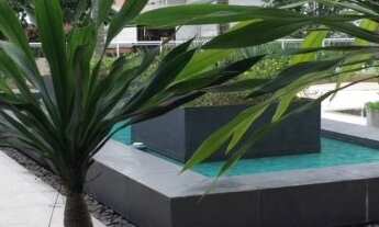 Imagem 5: COBERTURA ESPETACULAR