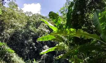 Imagem 4: Sítio a venda na Colônia Santana em São José