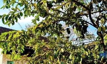 Imagem 4: Casa a Venda no Sambaqui, em Florianópolis, SC