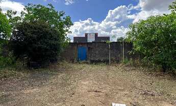 Imagem 6: Alugo Galpão 1000m2 com 1.500m2 quintal + casa nos fundos