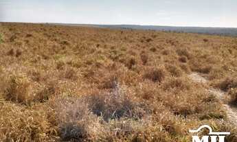 Imagem 5: Fazenda p/ Soja em Guaraí-TO. > 545 Alq. (2.637 Há