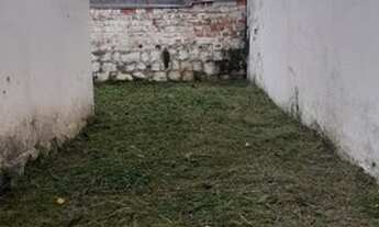 Imagem 6: Casa para aluguel tem 60 metros quadrados com 2 quartos em Alto Ipiranga - Mogi das Cruzes