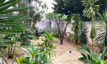 Imagem 4: Apartamento em Capim Macio com localização privilegiada para Aluguel ou Venda