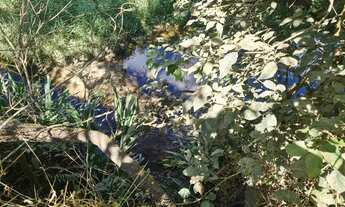 Imagem 7: Chácara de 10.000m² em Azurita