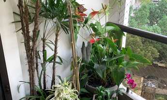 Imagem 5: Apartamento para aluguel e venda tem 178 metros quadrados com 3 quartos