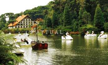 Imagem 7: GRAMADO - Apartamento Padrão - Planalto