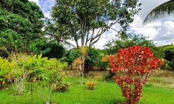 Imagem 3: Sitio na localidade de Murutuba, proximidades do Município de Cachoeira, 7 tarefas