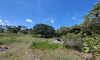 Imagem 4: Vende-se uma granja com 2 ha com rio perene - Povoado de Caiana - Ceará Mirim - RN