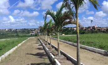 Imagem 3: Loteamento Sapeaçu Ville, lotes frente Rodoviária, 350 m² escriturado, com infraestrutura